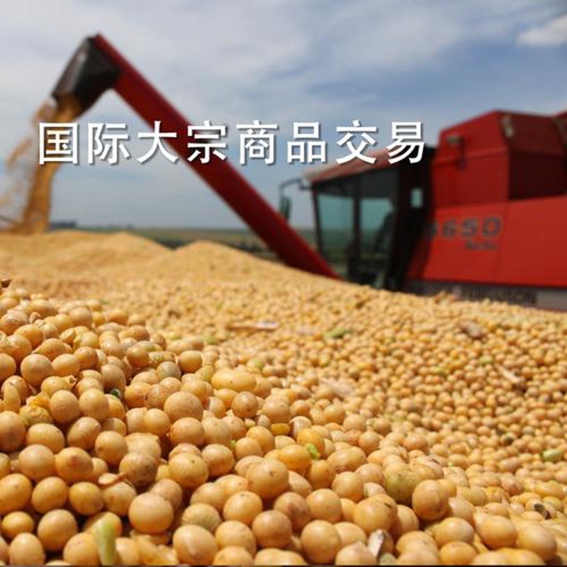 河北批发公司的市场动态：电商与实体并存的时代